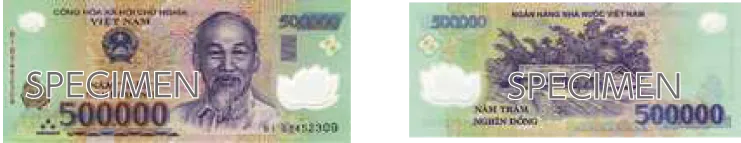 ベトナムドン_500000VND_2006